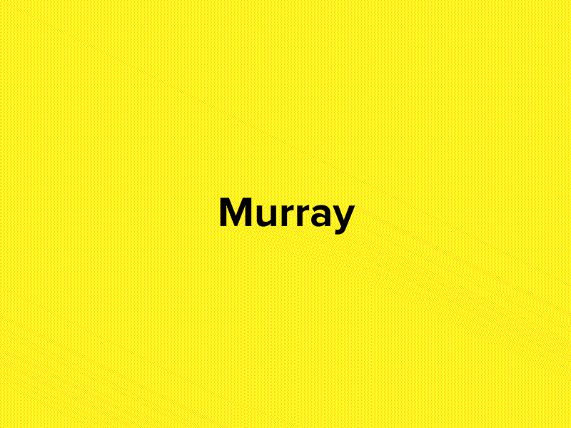 Murray - Animation front end development responsive sem ui ux
