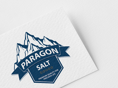 A Salt company Logo Design