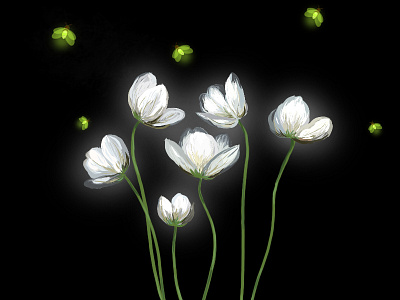 Night flowers adobe illustrator adobe photoshop decoration fireflies flower flower illustration flowers flowers illustration glow illustration night