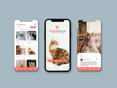TrackMeow app cat design mobile app pet app ux web