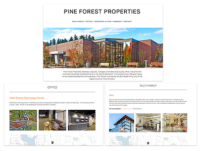 Pine Forest Website clean ux website