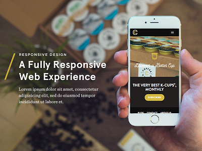 WIP New DO Site mobile photography responsive design typography uiux web design wip