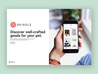 Brindleapp.com app application brindle design homepage iphone landing minimal pets typography ui