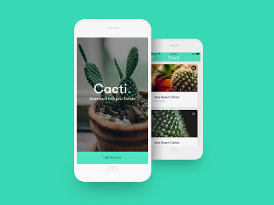 Cacti App app design flat how to layout tutorial