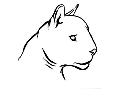Cougar icon animal cat cougar drawing icon ink logo profile
