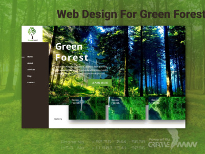 Web Design