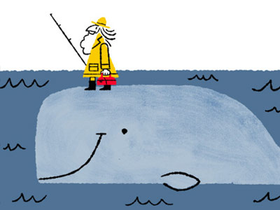 Whale illustration kidlit