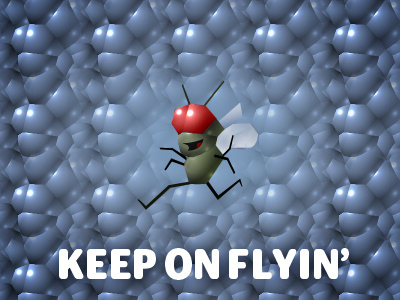 Keep on Flyin