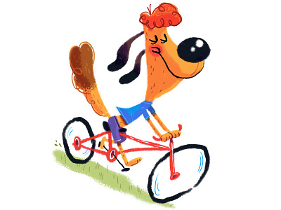 Dog on Bike bike dog
