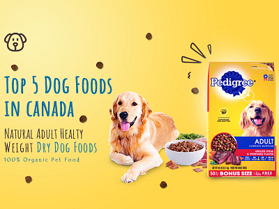 dog food banner