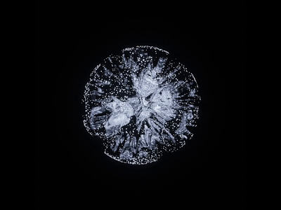 Looped sphere 3d abstract black blender dark glass glow loop animation particles