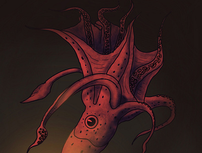 Tentacoli animals illustration illustrator natural nature squid