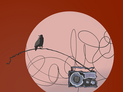 Radio. bird design drawing illustration october procreate radio