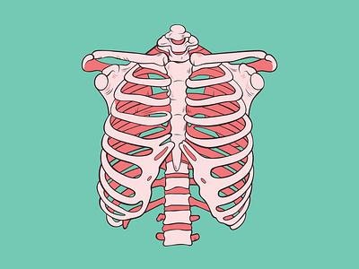Bubble Gum Ribs digital art graphic design icon illustration illustrator ribs skeleton