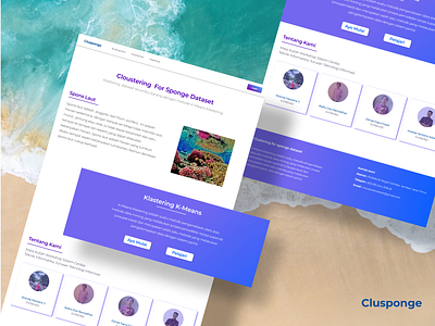 Cloustering For Sponge Dataset -Website graphic design sponge ui userinterface website