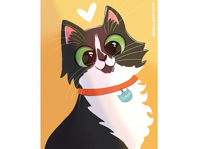 Cat black & white catlovers cats characters characters design childrens book childrens illustration concept art design illustration pets posters