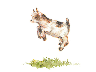 Goat Spot Illustration for Fernbrook Farms babyanimals cottagecore cuteanimals farmcore farmlife goats kidgoat naturalmedia naturecore portlandillustrator watercolor
