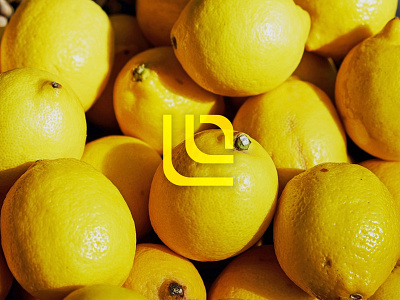 Brand Identity Design Concept (Lyrical Lemonade) brand design brand identity brand identity design branding design dribbble graphic designer lemon logodesign logos redesign