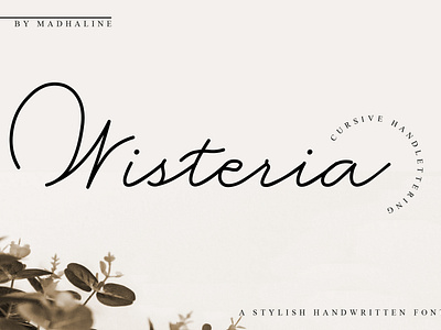 Wisteria a Stylish Handwritten Font