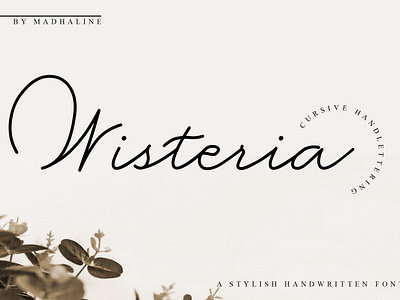 Wisteria a Stylish Handwritten Font calligraphy classic special typography watermark