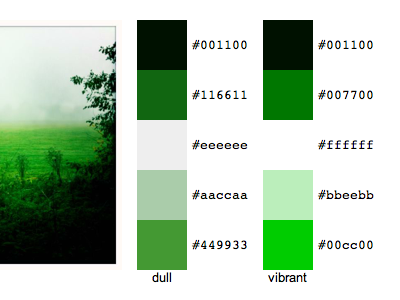 Green colour theme from photo fall field fog green theme