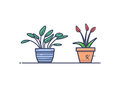 Plants illustration plant