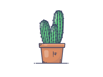 One cactus