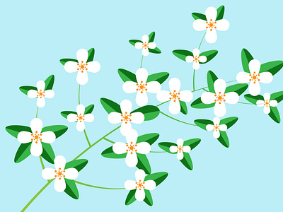 Flower Illustration