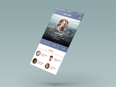 Profile Screen Concept V3 app design flat flat design ios7 iphone profile profile concept template ui set
