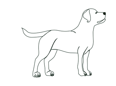 Dog Again One Line Art By Graphic-Infinite On Dribbble