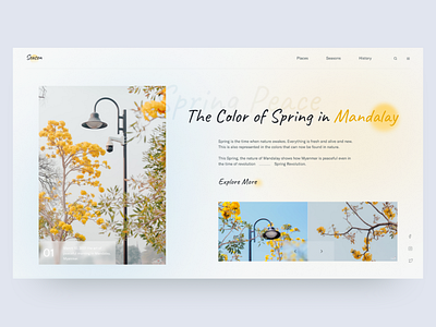 Web Design 05 - Mandalay Spring