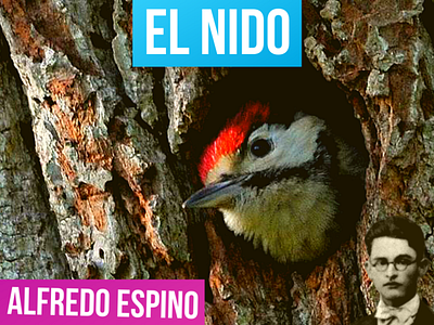 EL NIDO Alfredo Espino 🐦🌲 | El Nido Poema de Alfredo Espino 🌄 el nido alfredo espino el nido jicaras tristes