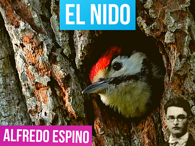 EL NIDO Alfredo Espino 🐦🌲 | El Nido Poema de Alfredo Espino 🌄