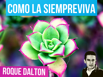 COMO LA SIEMPREVIVA 🌷🌄 ROQUE DALTON | Valentina Zoe antologia poetica el salvador infantil poemas clandestinos poemas de roque dalton poeta roque dalton roque dalton roque dalton poemas valentina zoe poesia