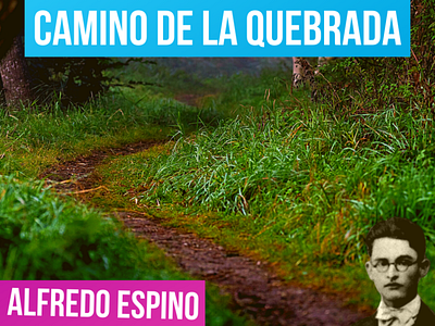 CAMINO DE LA QUEBRADA ALFREDO ESPINO 🌠👧 | Jícaras Tristes