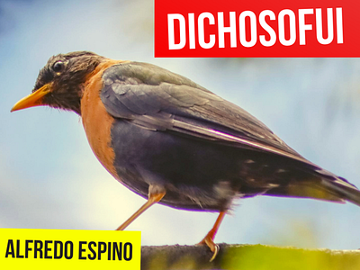 DICHOSOFUI ALFREDO ESPINO 🐦🎶 | Jícaras Tristes antologia poetica