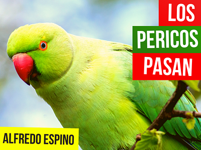 LOS PERICOS PASAN ALFREDO ESPINO 🦜⛅ | Jícaras Tristes