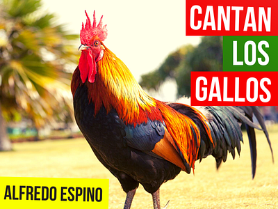 CANTAN LOS GALLOS ALFREDO ESPINO 🐓🎵 | Jícaras Tristes Panorama antologia poetica