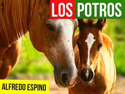 LOS POTROS ALFREDO ESPINO 🐎🌪️ | JícarasTristes Auras del Bohío