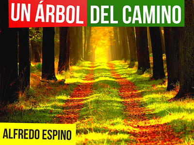 UN ARBOL DEL CAMINO ALFREDO ESPINO 🌳🐦 | Jícaras Tristes