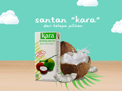 Santan "Kara" advertising coconut design food social media design