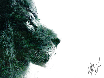 Nature of the Beast - 1 agameoftones big cat chicago digital art direction double exposure lion lion head mane photography photoshop art rainforest trees wild animals