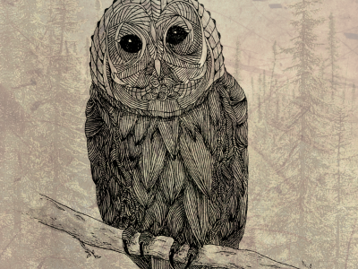 Owl Drawing for an Ad for Native American Art Museum