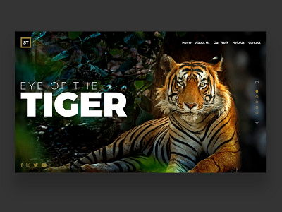 Web UI Inspiration - N. 1 - Save Tigers art branding design hero image hero section illustration inspiration landing landing page logo minimal typography ui uiux uiuxweb uiwebdesign ux webinspiration webpage website