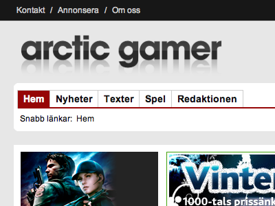 Arctic Gamer (20110119) arctic gamer not done website