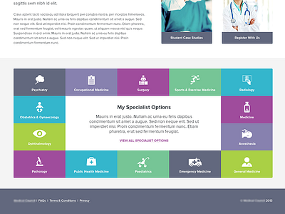 Specialty Options colour icons ui web