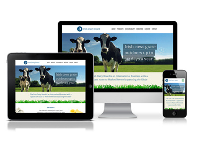 Responsive website big image cows responsive web