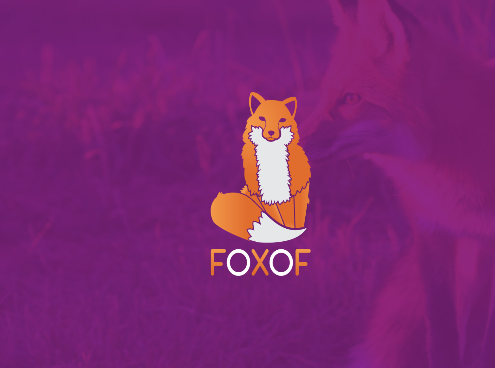 Fox Logo by Daniel on Dribbble