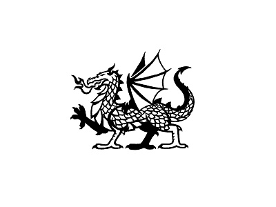Dragon 2 black and white dragon sketch