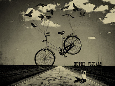 Birds stole my bike poster animals birds poster raster